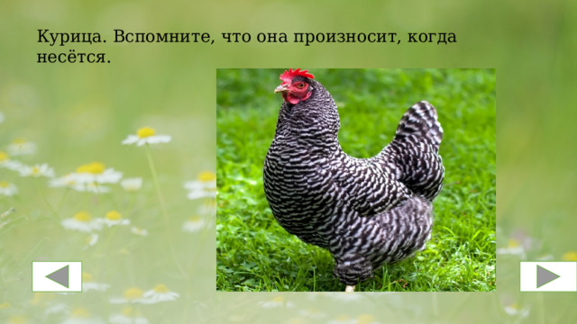  Курица. Вспомните, что она произносит, когда несётся.  