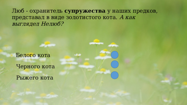  Люб - охранитель  супружества  у наших предков, представал в виде золотистого кота.  А как выглядел Нелюб?  Белого кота Черного кота Рыжего кота 