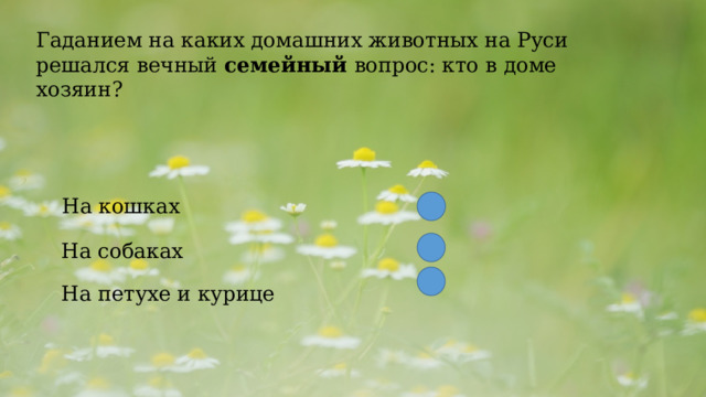  Гаданием на каких домашних животных на Руси решался вечный  семейный  вопрос: кто в доме хозяин?  На кошках На собаках На петухе и курице 