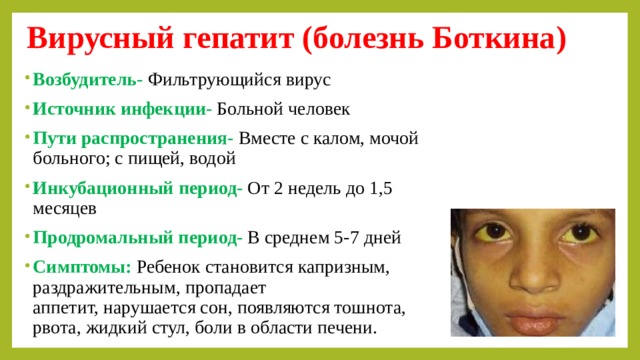 Вирусный гепатит (болезнь Боткина)   Возбудитель- Фильтрующийся вирус Источник инфекции- Больной человек Пути распространения- Вместе с калом, мочой больного; с пищей, водой Инкубационный период- От 2 недель до 1,5 месяцев  Продромальный период-  В среднем 5-7 дней Симптомы: Ребенок становится капризным, раздражительным, пропадает аппетит, нарушается сон, появляются тошнота, рвота, жидкий стул, боли в области печени. 