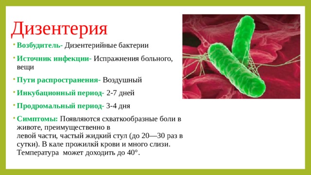 Дизентерия Возбудитель-  Дизентерийные бактерии Источник инфекции- Испражнения больного,    вещи Пути распространения-  Воздушный Инкубационный период- 2-7 дней Продромальный период- 3-4 дня Симптомы: Появляются схваткообразные боли в животе, преимущественно в  левой части, частый жидкий стул (до 20—30 раз в сутки). В кале прожилкй крови и много слизи. Температура  может доходить до 40°. 