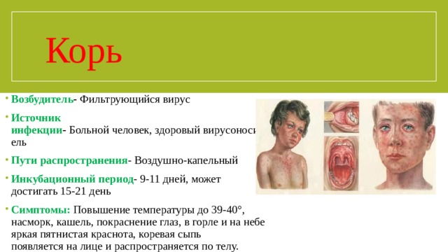 Корь Возбудитель -  Фильтрующийся вирус Источник инфекции -  Больной человек, здоровый вирусоноситель Пути распространения - Воздушно-капельный Инкубационный период -  9-11 дней, может достигать 15-21 день Симптомы:   Повышение температуры до 39-40°, насморк, кашель, покраснение глаз, в горле и на небе яркая пятнистая краснота, коревая сыпь  появляется на лице и распространяется по телу. 