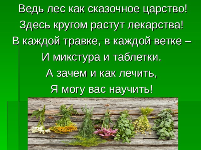 Ведь лес как сказочное царство! Здесь кругом растут лекарства! В каждой травке, в каждой ветке – И микстура и таблетки. А зачем и как лечить, Я могу вас научить! 