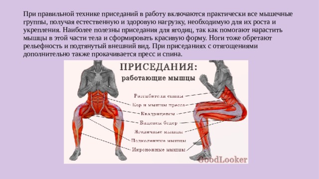 При правильной технике приседаний в работу включаются практически все мышечные группы, получая естественную и здоровую нагрузку, необходимую для их роста и укрепления. Наиболее полезны приседания для ягодиц, так как помогают нарастить мышцы в этой части тела и сформировать красивую форму. Ноги тоже обретают рельефность и подтянутый внешний вид. При приседаниях с отягощениями дополнительно также прокачивается пресс и спина.  