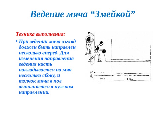 Ведение мяча “Змейкой” Техника выполнения: При ведении мяча взгляд должен быть направлен несколько вперед. Для изменения направления ведения кисть накладывается на мяч несколько сбоку, и толчок мяча в пол выполняется в нужном направлении. 