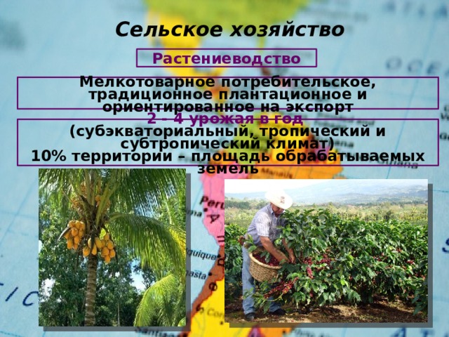 Сельское хозяйство Растениеводство Мелкотоварное потребительское, традиционное плантационное и ориентированное на экспорт 2 - 4 урожая в год (субэкваториальный, тропический и субтропический климат) 10% территории – площадь обрабатываемых земель 