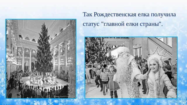 Так Рождественская елка получила статус 