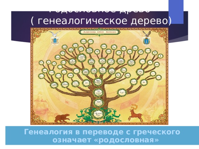 Родословное древо  ( генеалогическое дерево) Генеалогия в переводе с греческого означает «родословная» 