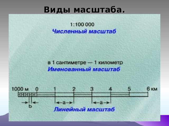 Виды масштаба. 