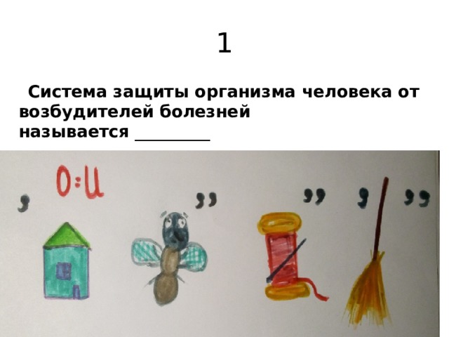 1  Система защиты организма человека от возбудителей болезней называется  _________ 