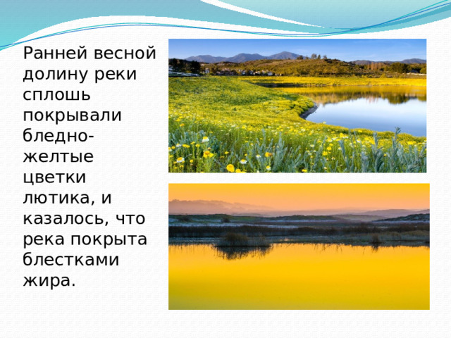 Ранней весной долину реки сплошь покрывали бледно-желтые цветки лютика, и казалось, что река покрыта блестками жира. 