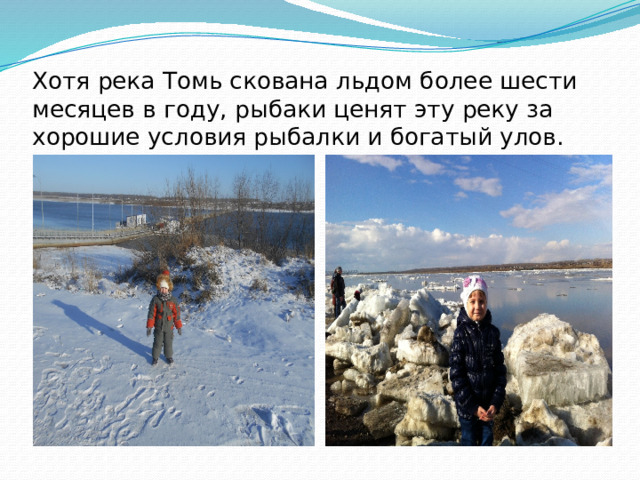 Хотя река Томь скована льдом более шести месяцев в году, рыбаки ценят эту реку за хорошие условия рыбалки и богатый улов.   