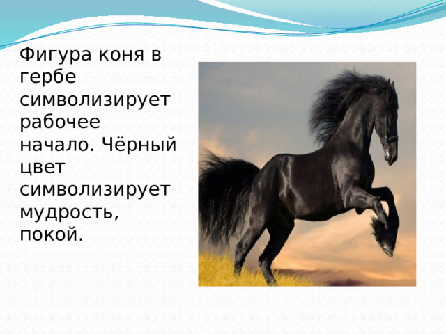 Фигура коня в гербе символизирует рабочее начало. Чёрный цвет символизирует мудрость, покой.   