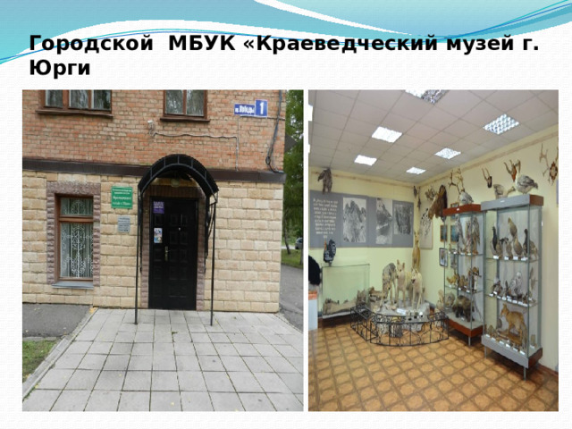 Городской МБУК «Краеведческий музей г. Юрги   