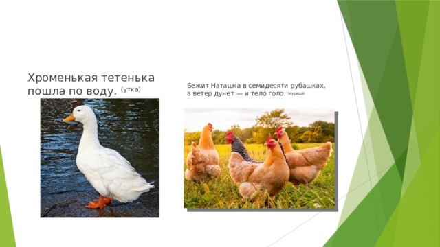 Хроменькая тетенька пошла по воду.  (утка) Бежит Наташка в семидесяти рубашках, а ветер дунет — и тело голо.  (курица) 