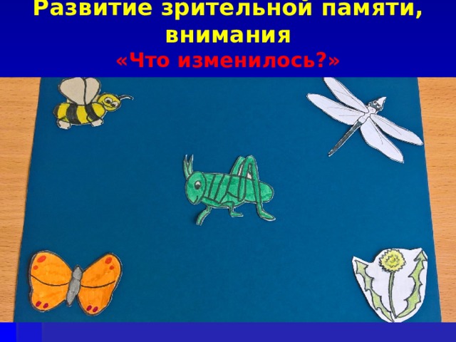 Развитие зрительной памяти, внимания  «Что изменилось?» 
