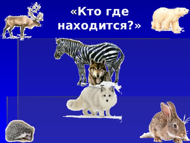 « Кто где находится?» 