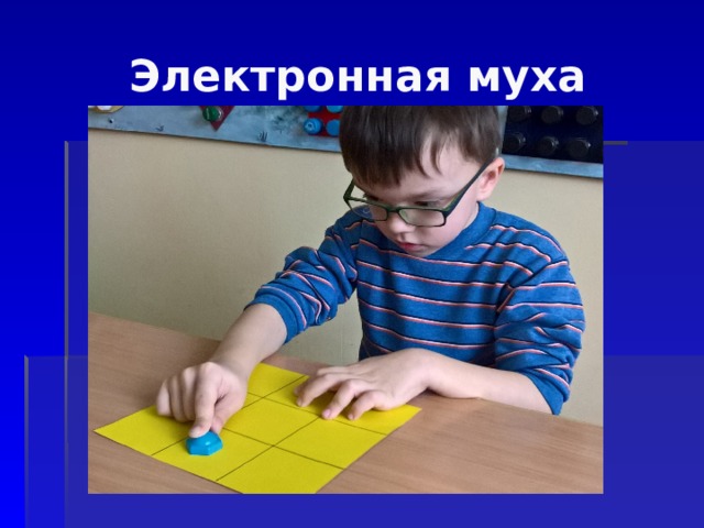 Электронная муха 