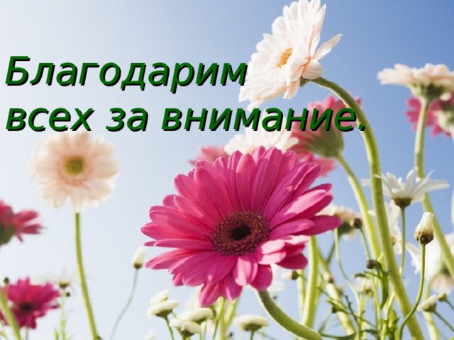 Благодарим  всех за внимание. 