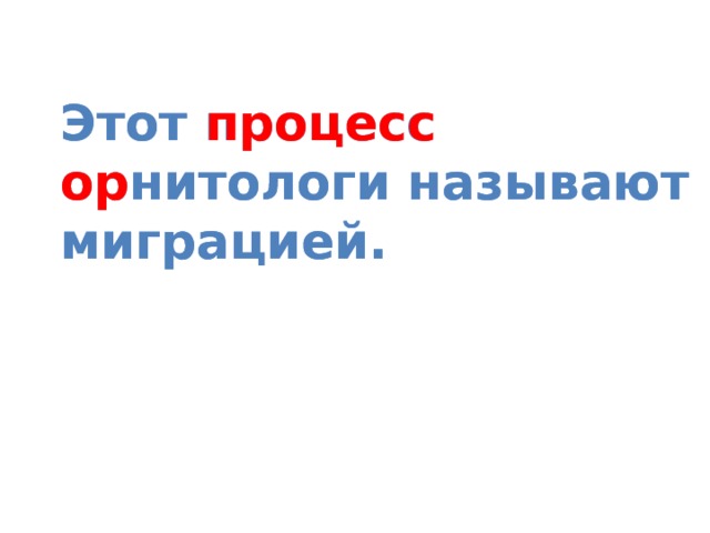 Этот процесс орнитологи называют миграцией. Этот процесс  ор нитологи называют миграцией. 