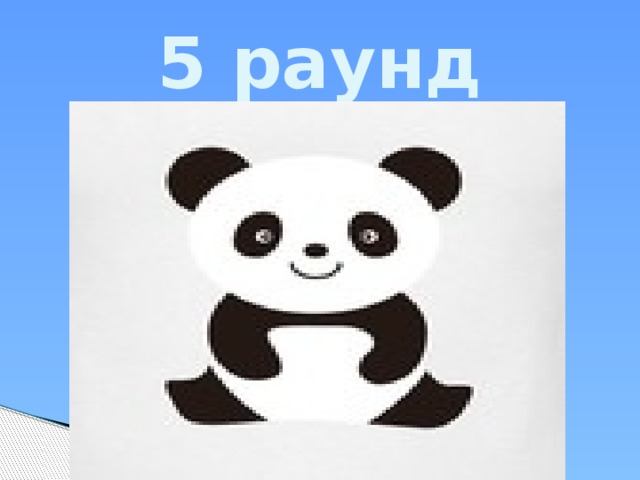 5 раунд 