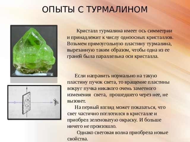 ОПЫТЫ С ТУРМАЛИНОМ Кристалл турмалина имеет ось симметрии и принадлежит к числу одноосных кристаллов. Возьмем прямоугольную пластину турмалина, вырезанную таким образом, чтобы одна из ее граней была параллельна оси кристалла. Если направить нормально на такую пластину пучок света, то вращение пластины вокруг пучка никакого очень заметного изменения света, прошедшего через нее, не вызовет. На первый взгляд может показаться, что свет частично поглотился в кристалле и приобрел зеленоватую окраску. И больше ничего не произошло. Однако световая волна приобрела новые свойства. 