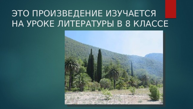 ЭТО ПРОИЗВЕДЕНИЕ ИЗУЧАЕТСЯ НА УРОКЕ ЛИТЕРАТУРЫ В 8 КЛАССЕ 