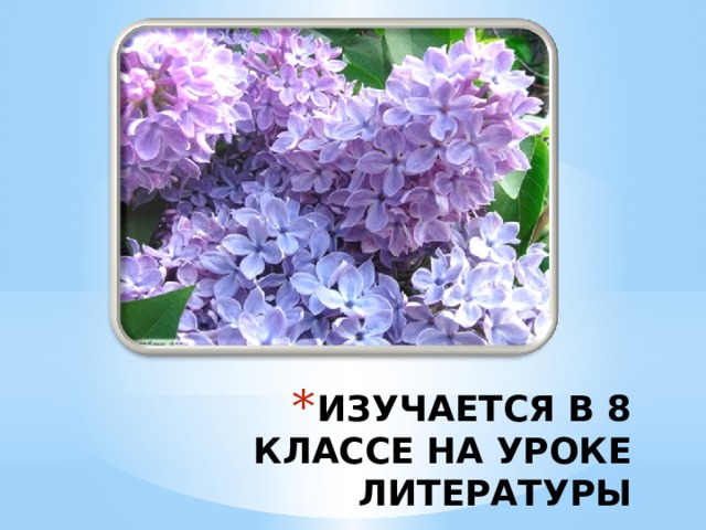 ИЗУЧАЕТСЯ В 8 КЛАССЕ НА УРОКЕ ЛИТЕРАТУРЫ 