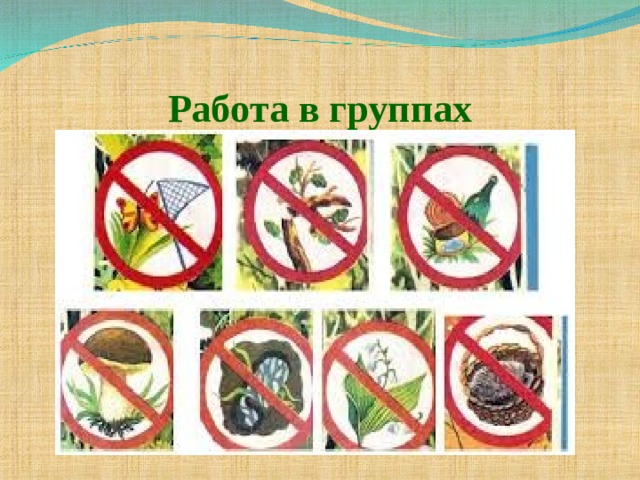 Работа в группах 