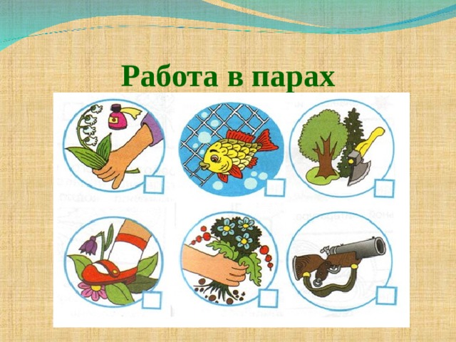 Работа в парах 