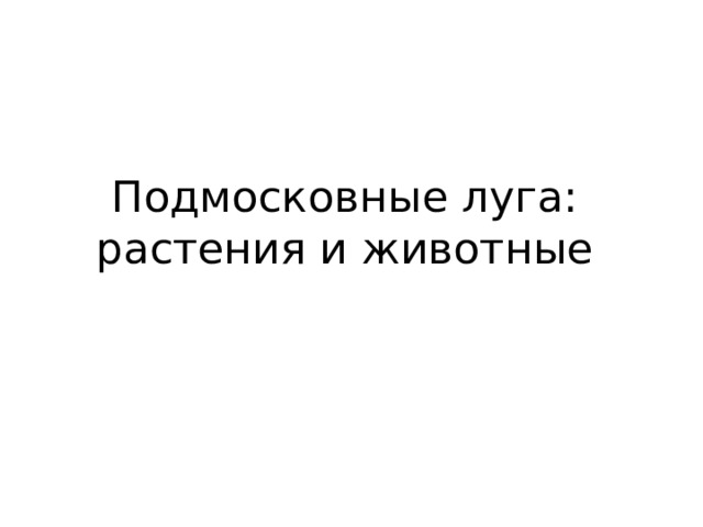 Подмосковные луга:  растения и животные 
