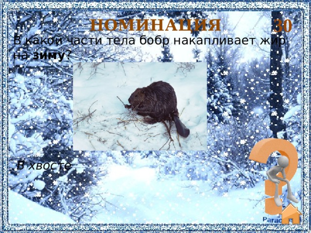 30 НОМИНАЦИЯ В какой части тела бобр накапливает жир на  зиму ? В хвосте   