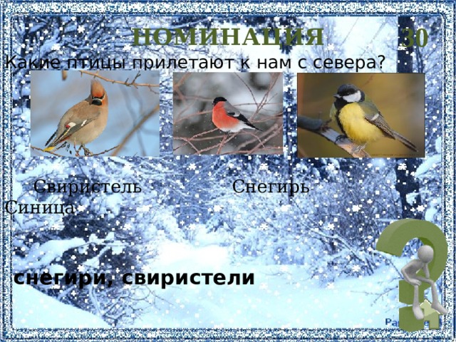 30 НОМИНАЦИЯ Какие птицы прилетают к нам с севера?  Свиристель Снегирь Синица снегири, свиристели 