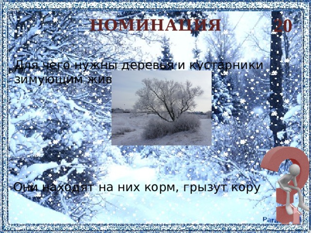 20 НОМИНАЦИЯ Для чего нужны деревья и кустарники зимующим животным?      Они находят на них корм, грызут кору    