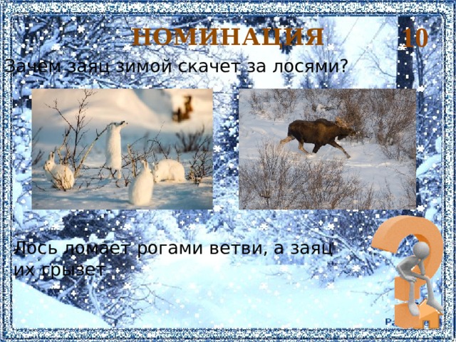 10 НОМИНАЦИЯ Зачем заяц зимой скачет за лосями? Лось ломает рогами ветви, а заяц их грызет   