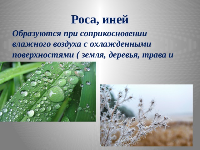 Роса, иней Образуются при соприкосновении влажного воздуха с охлажденными поверхностями ( земля, деревья, трава и т.д) 