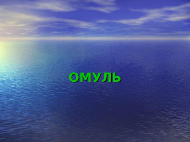 ОМУЛЬ 
