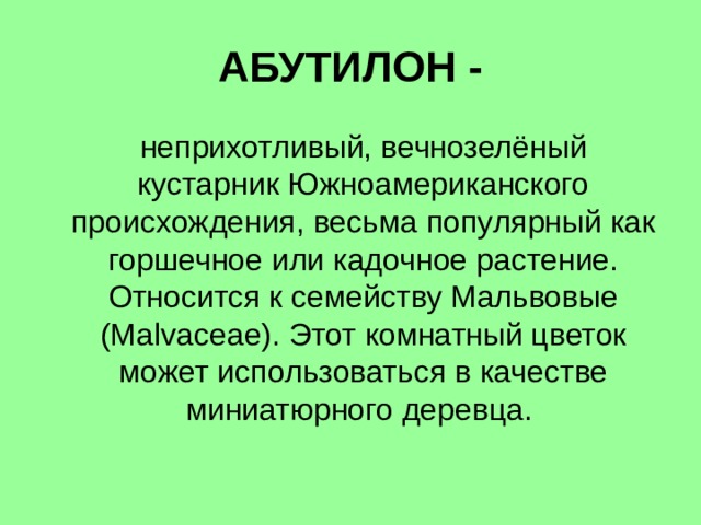 АБУТИЛОН -  неприхотливый, вечнозелёный кустарник Южноамериканского происхождения, весьма популярный как горшечное или кадочное растение. Относится к семейству Мальвовые (Malvaceae). Этот комнатный цветок может использоваться в качестве миниатюрного деревца. 