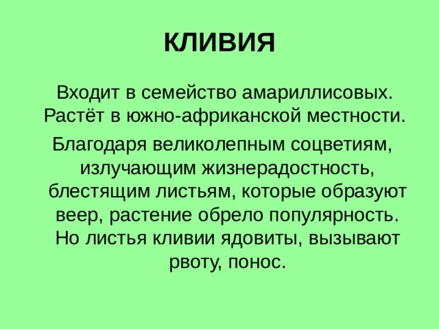 КЛИВИЯ  Входит в семейство амариллисовых. Растёт в южно-африканской местности.  Благодаря великолепным соцветиям, излучающим жизнерадостность, блестящим листьям, которые образуют веер, растение обрело популярность. Но листья кливии ядовиты, вызывают рвоту, понос. 