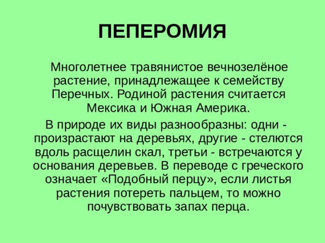 ПЕПЕРОМИЯ   Многолетнее травянистое вечнозелёное растение, принадлежащее к семейству Перечных. Родиной растения считается Мексика и Южная Америка.  В природе их виды разнообразны: одни - произрастают на деревьях, другие - стелются вдоль расщелин скал, третьи - встречаются у основания деревьев. В переводе с греческого означает «Подобный перцу», если листья растения потереть пальцем, то можно почувствовать запах перца. 