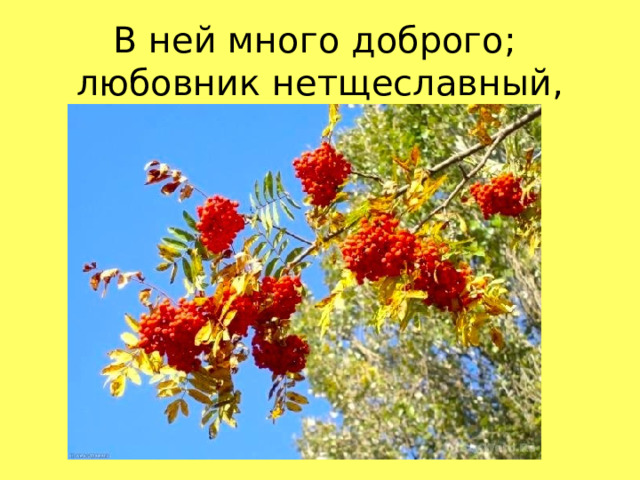 В ней много доброго;  любовник нетщеславный,  