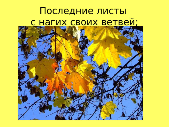 Последние листы  с нагих своих ветвей;  