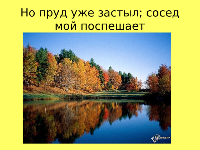 Но пруд уже застыл; сосед мой поспешает  