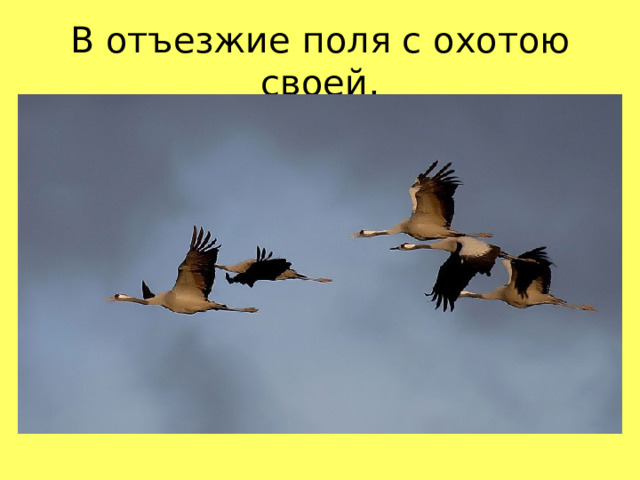 В отъезжие поля с охотою своей,  