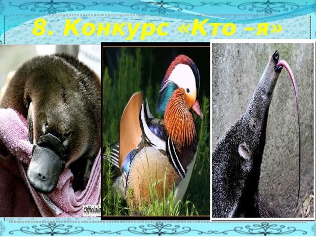 8. Конкурс «Кто –я» 