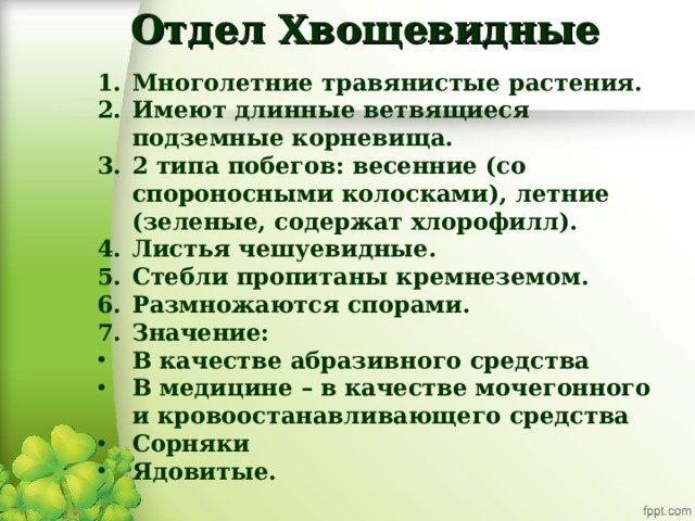 Отдел Хвощевидные Многолетние травянистые растения. Имеют длинные ветвящиеся подземные корневища. 2 типа побегов: весенние (со спороносными колосками), летние (зеленые, содержат хлорофилл). Листья чешуевидные. Стебли пропитаны кремнеземом. Размножаются спорами. Значение: В качестве абразивного средства В медицине – в качестве мочегонного и кровоостанавливающего средства Сорняки Ядовитые.  