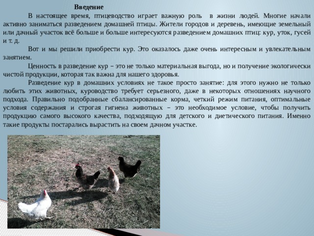   Введение В настоящее время, птицеводство играет важную роль в жизни людей. Многие начали активно заниматься разведением домашней птицы. Жители городов и деревень, имеющие земельный или дачный участок всё больше и больше интересуются разведением домашних птиц: кур, уток, гусей и т. д. Вот и мы решили приобрести кур. Это оказалось даже очень интересным и увлекательным занятием. Ценность в разведение кур – это не только материальная выгода, но и получение экологически чистой продукции, которая так важна для нашего здоровья. Разведение кур в домашних условиях не такое просто занятие: для этого нужно не только любить этих животных, куроводство требует серьезного, даже в некоторых отношениях научного подхода. Правильно подобранные сбалансированные корма, четкий режим питания, оптимальные условия содержания и строгая гигиена животных – это необходимое условие, чтобы получить продукцию самого высокого качества, подходящую для детского и диетического питания. Именно такие продукты постарались вырастить на своем дачном участке. 