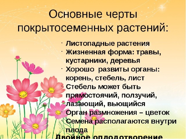 Двойное оплодотворение 