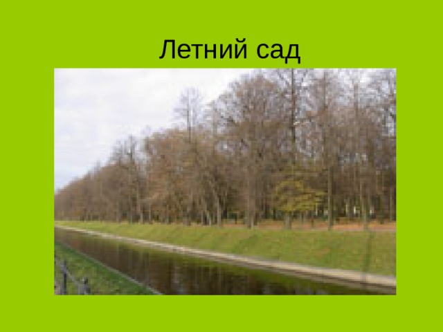 Летний сад 