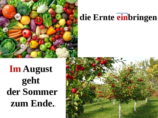 die Ernte ein bringen Im August geht der Sommer  zum Ende. . 